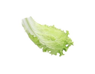 Photo of Leaf of fresh green lettuce isolated on white