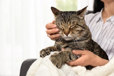 Photo of Owner holding cute tabby cat indoors, closeup. Friendly pet