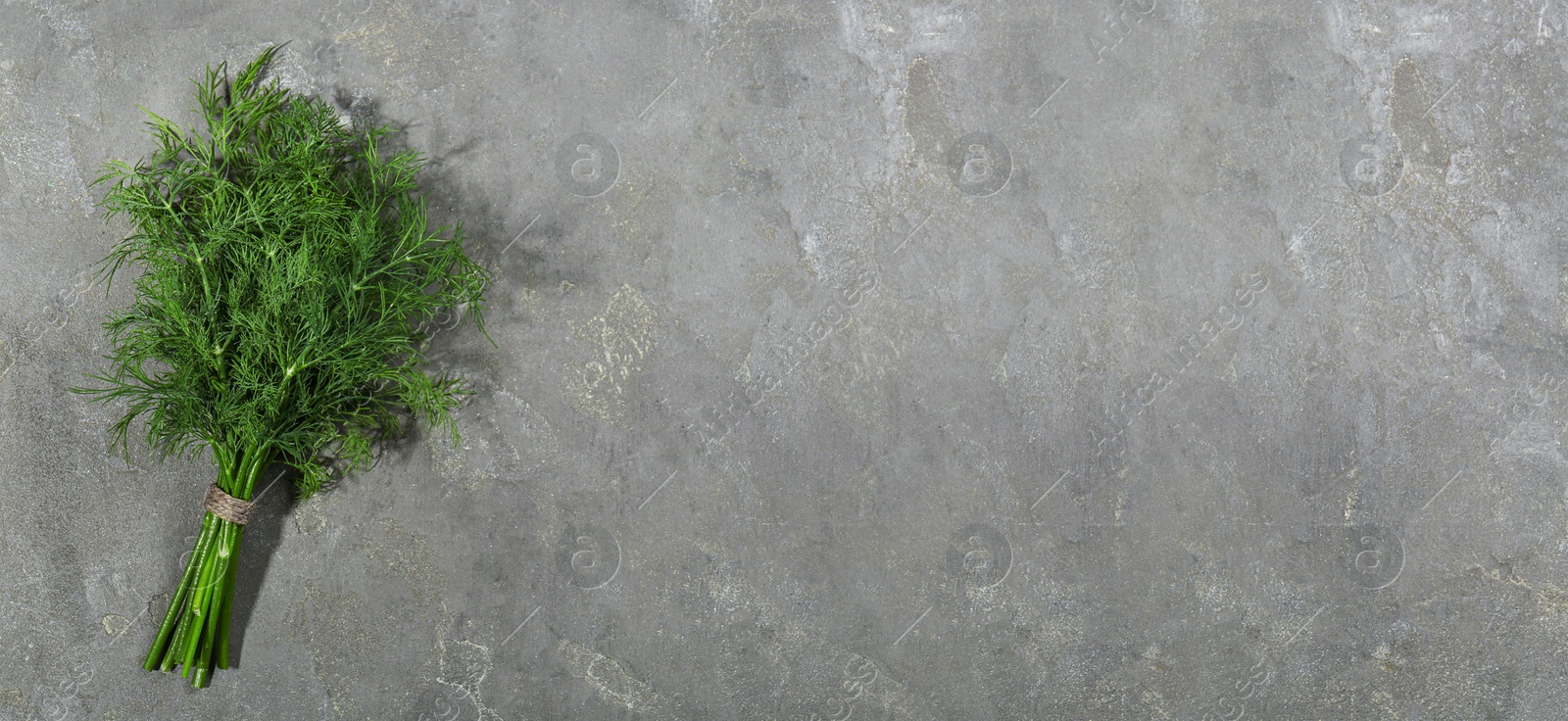 Image of Fresh dill on grey table, top view. Banner design with space for text