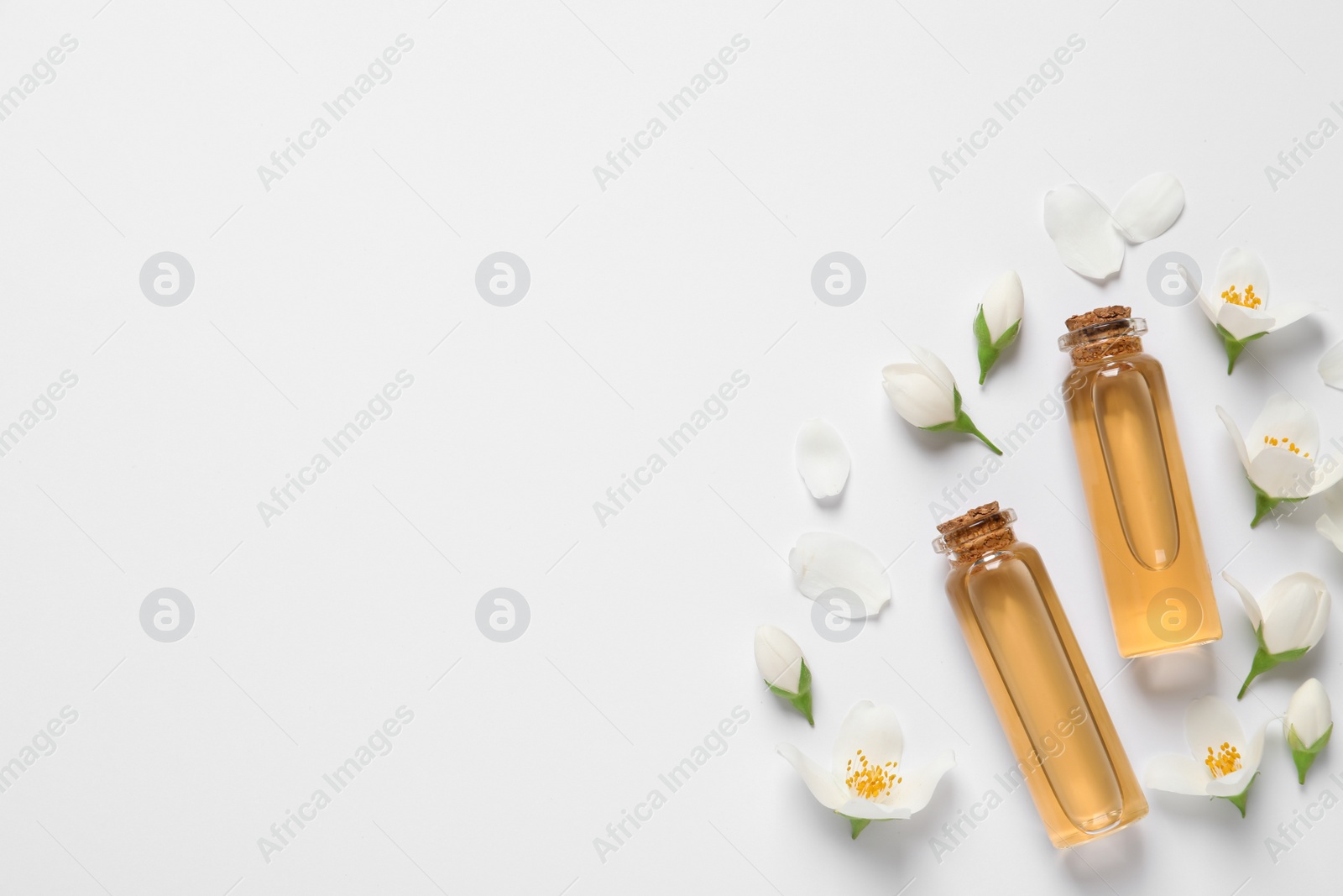 Photo of Jasmine essential and fresh flowers on white background, top view