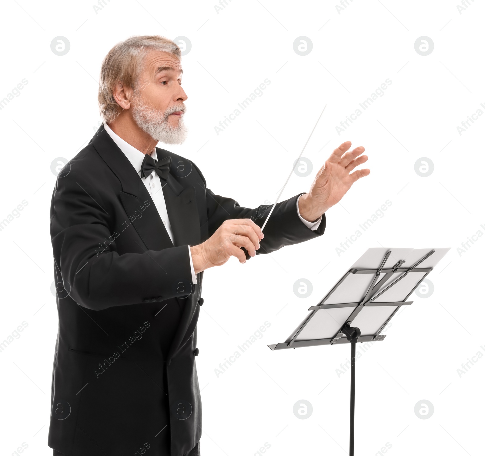 Photo of Professional conductor with baton and note stand on white background