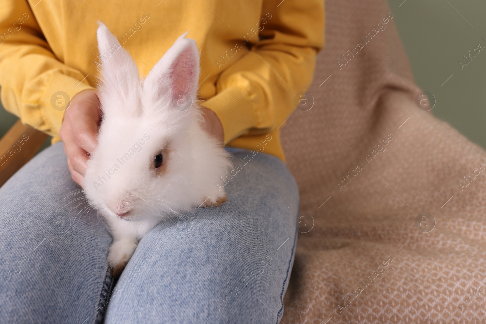 Photo of Woman with fluffy white rabbit, closeup and space for text. Cute pet