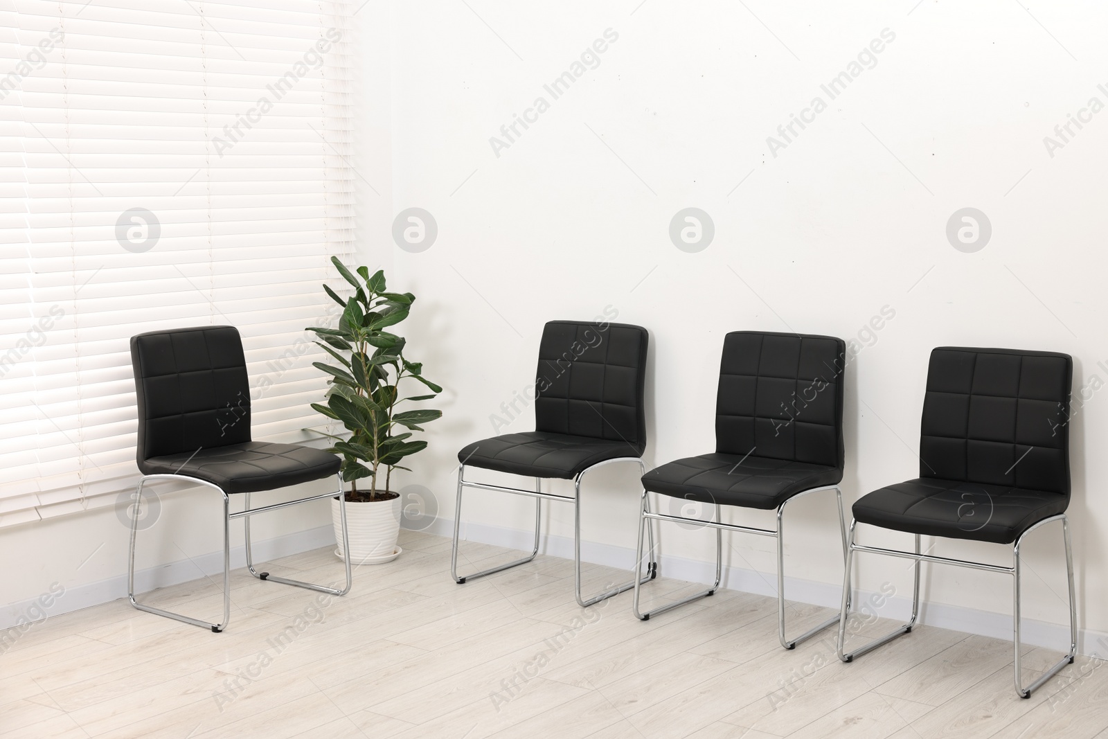 Photo of Many chairs near white wall in waiting area indoors