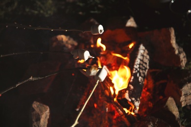 Frying marshmallows on bonfire at night, closeup. Camping season