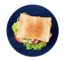 Yummy sandwich isolated on white, above view