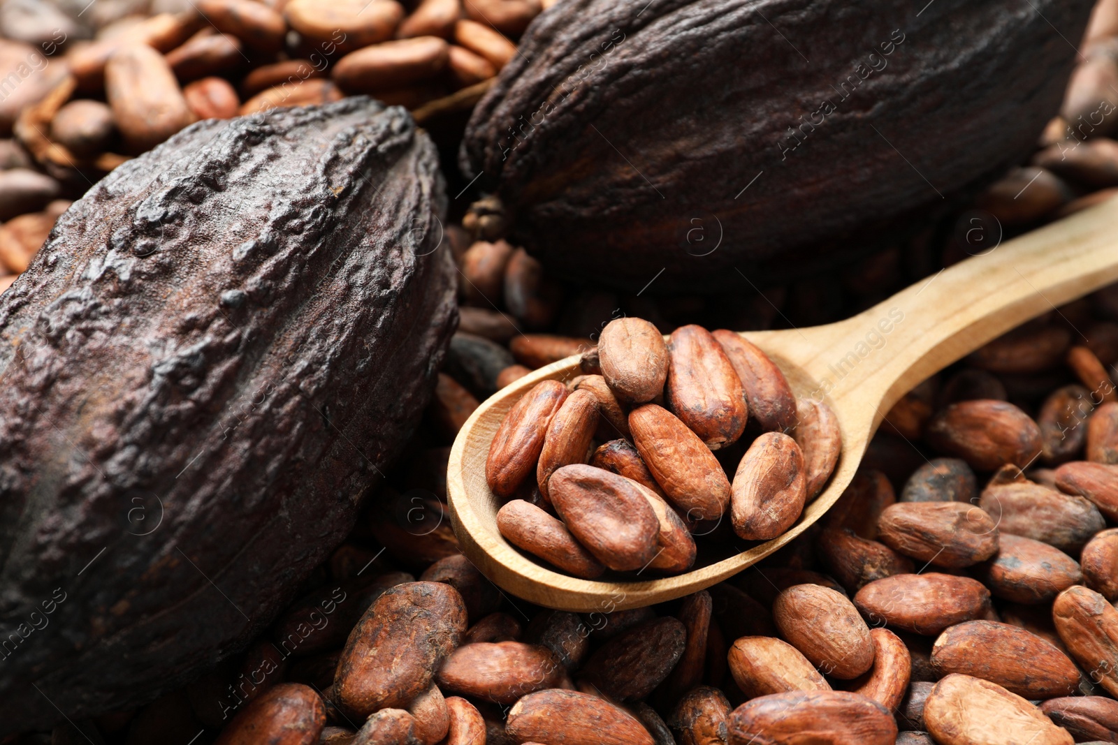 Photo of Wooden spoon and pods on cocoa beans, closeup