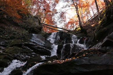 Photo of Beautiful waterfall with stones in autumn forest