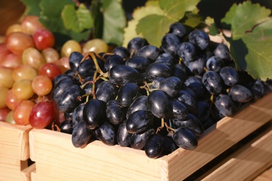 Photo of Fresh ripe juicy grapes in wooden crates, closeup