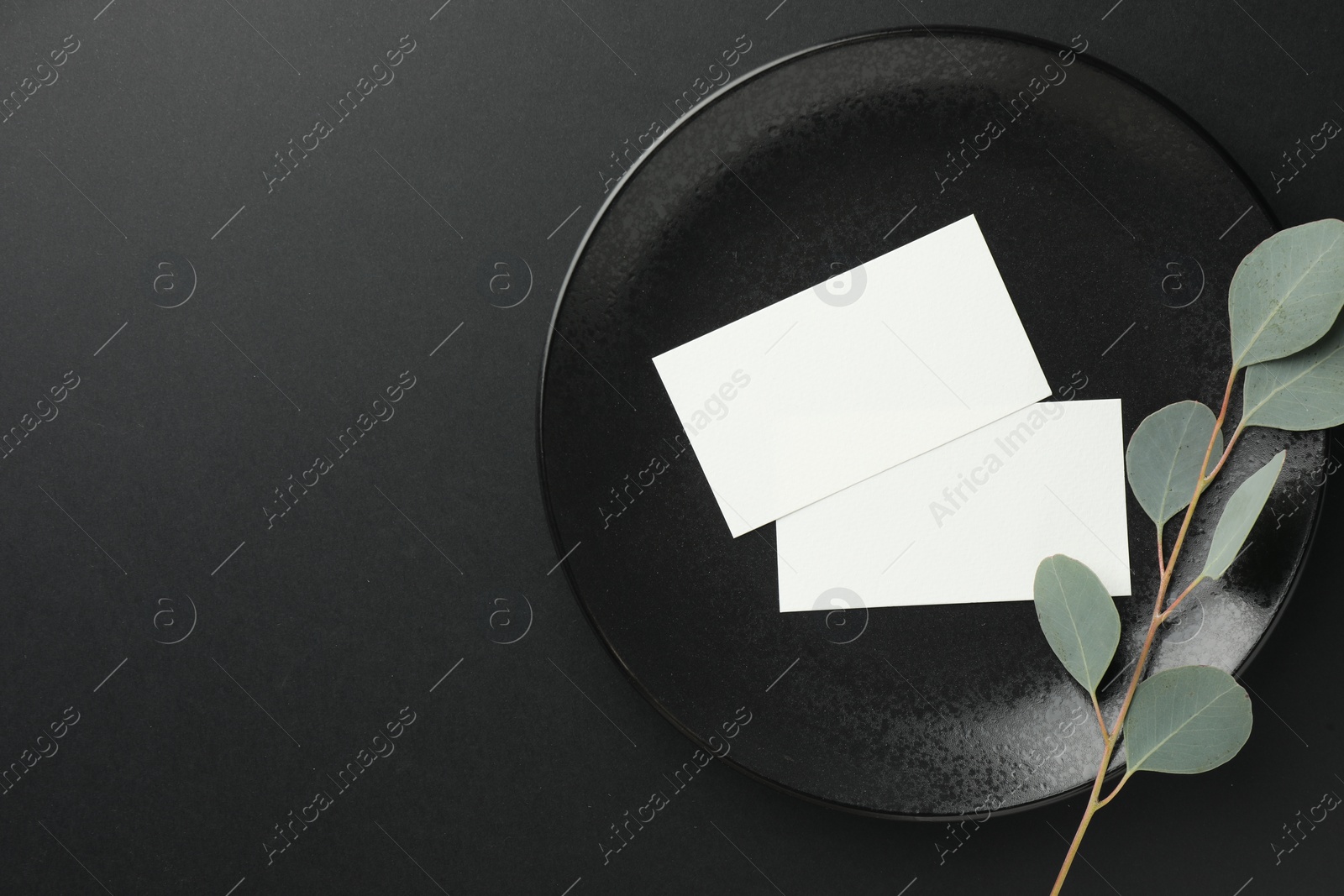 Photo of Blank business cards and eucalyptus branch on black background, top view. Mockup for design