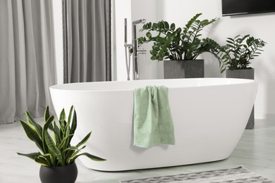 Photo of Stylish white tub and green houseplants in bathroom. Interior design