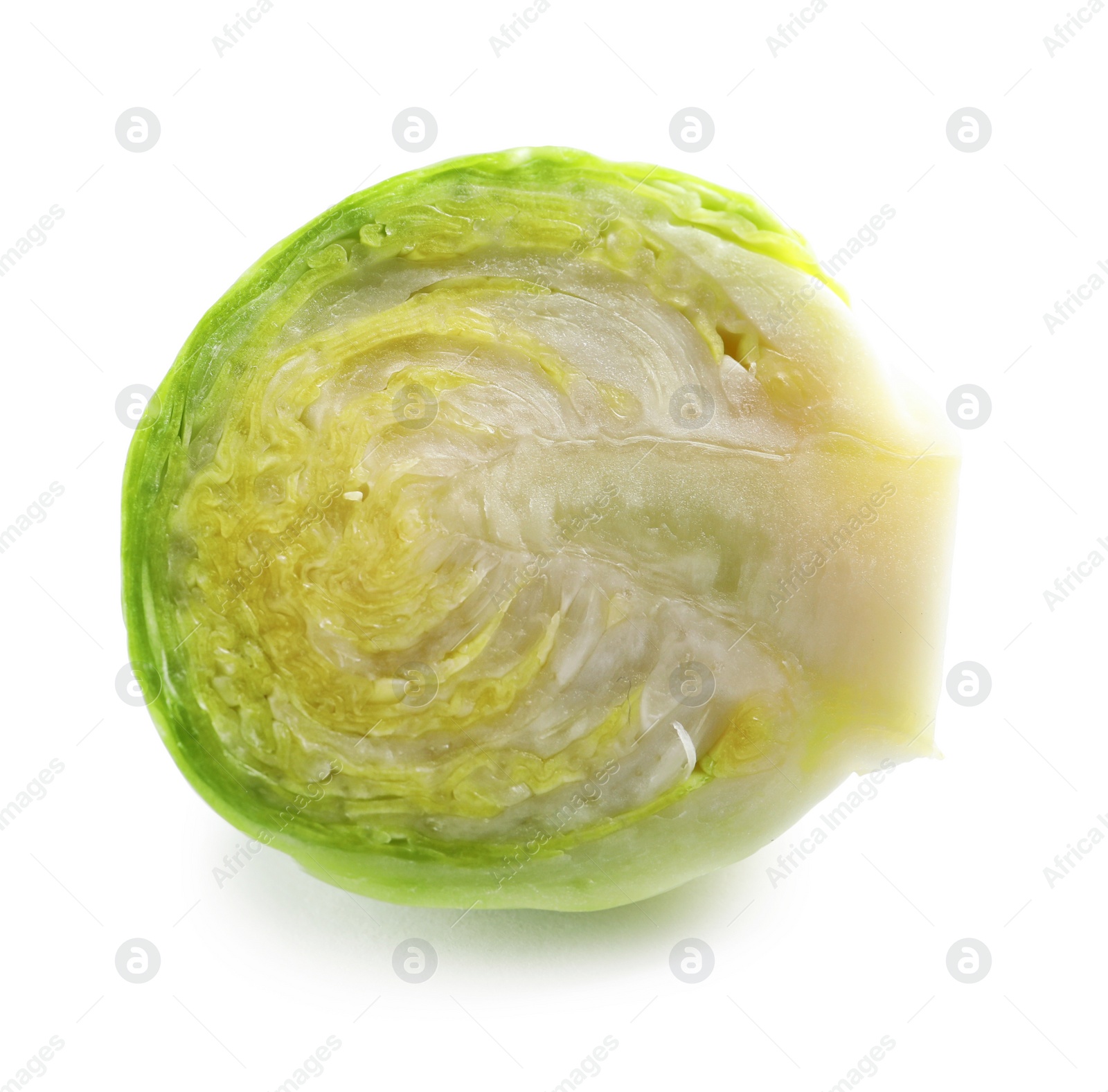 Photo of Fresh cut Brussels sprout on white background