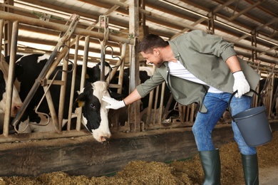 Photo of Worker stroking cow on farm. Animal husbandry