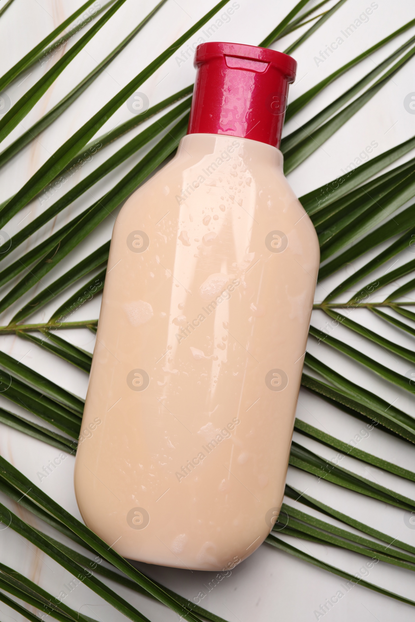 Photo of Wet shampoo bottle and green leaf on white marble table, flat lay