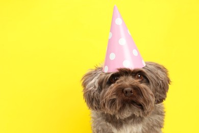 Photo of Cute Maltipoo dog wearing party hat on yellow background, space for text. Lovely pet