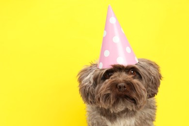 Cute Maltipoo dog wearing party hat on yellow background, space for text. Lovely pet