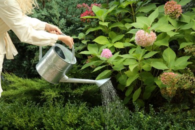 Photo of Woman watering plant in beautiful garden, closeup