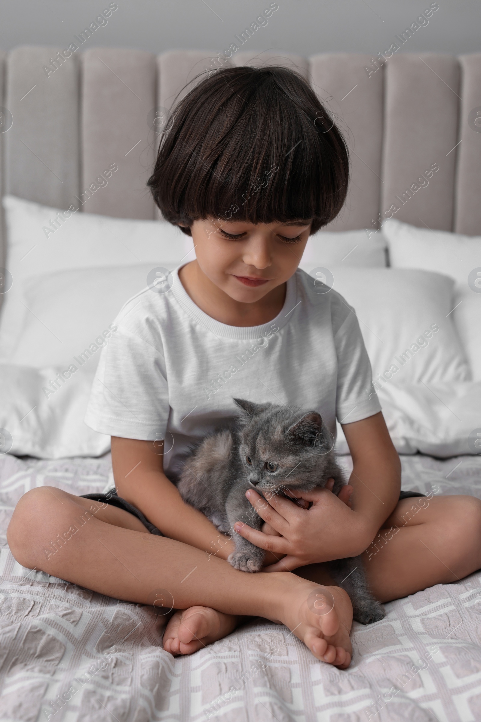 Photo of Cute little boy with kitten on bed. Childhood pet