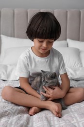 Cute little boy with kitten on bed. Childhood pet