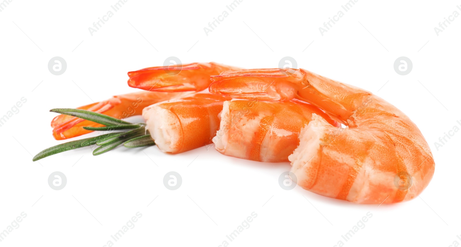 Photo of Delicious cooked shrimps and rosemary isolated on white