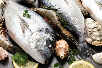 Photo of Fresh raw dorado fish and different seafood on grey table, closeup