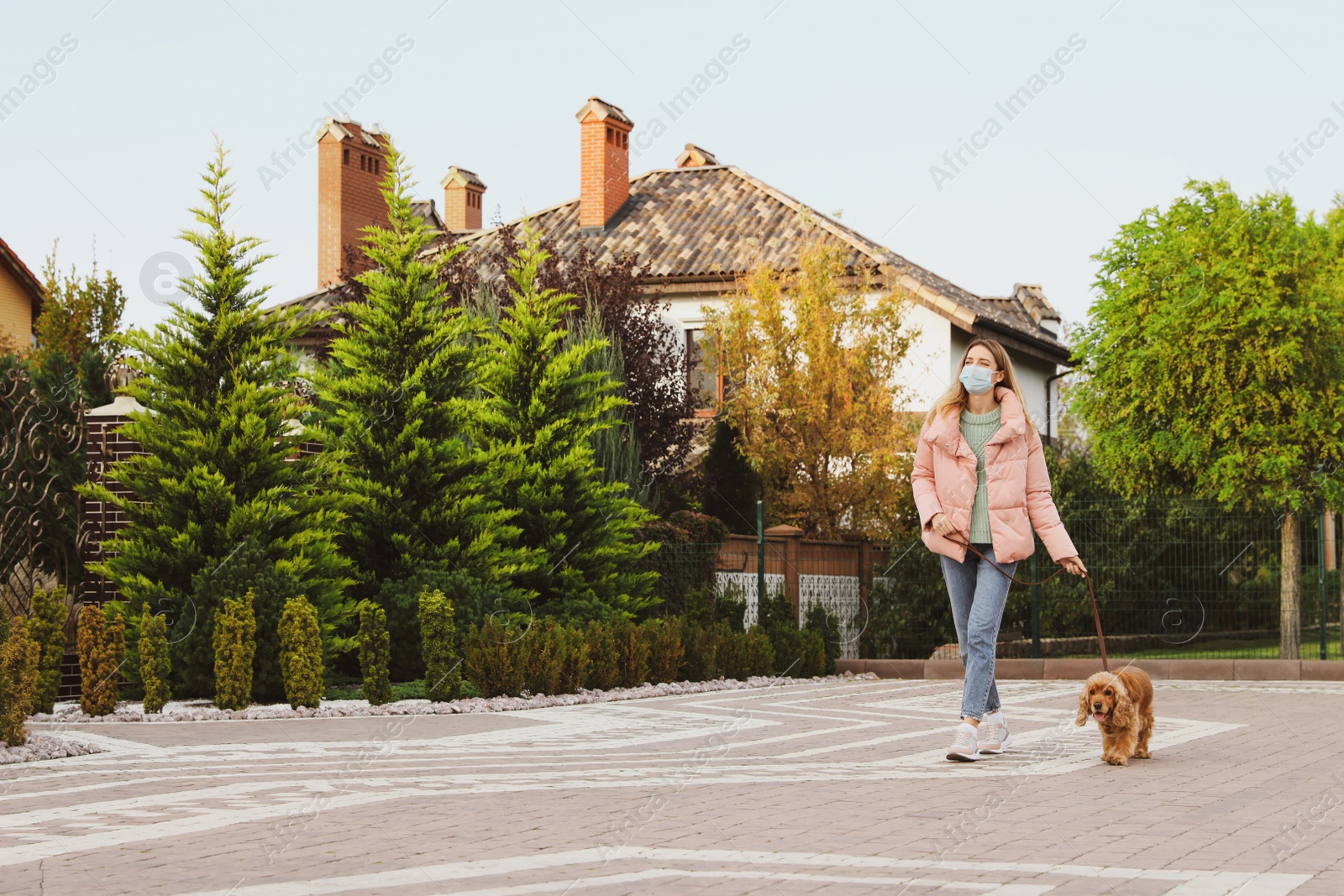 Photo of Woman in protective mask with English Cocker Spaniel outdoors. Walking dog during COVID-19 pandemic