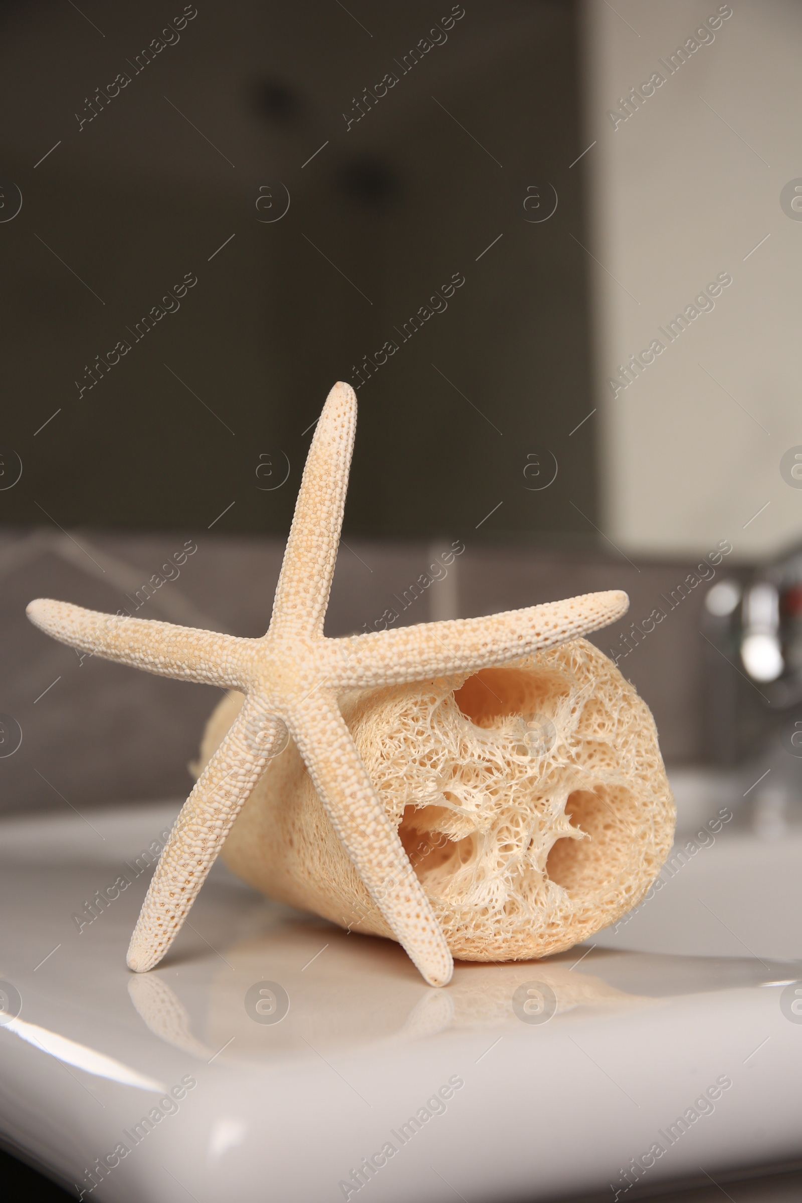 Photo of Natural loofah sponge and starfish on washbasin in bathroom, closeup