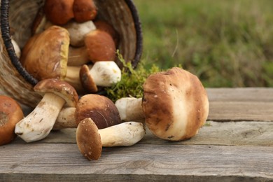 Photo of Fresh wild mushrooms on wooden table outdoors, space for text