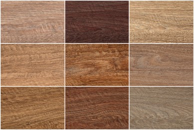 Image of Collage with wooden surface covered with different varnish or wood stain