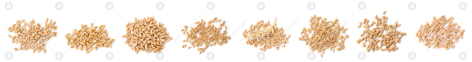 Image of Set with heaps of wheat grains on white background, top view. Banner design