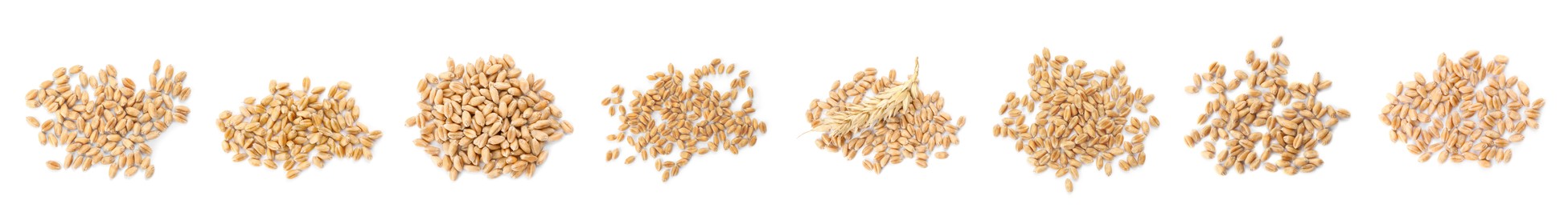 Image of Set with heaps of wheat grains on white background, top view. Banner design