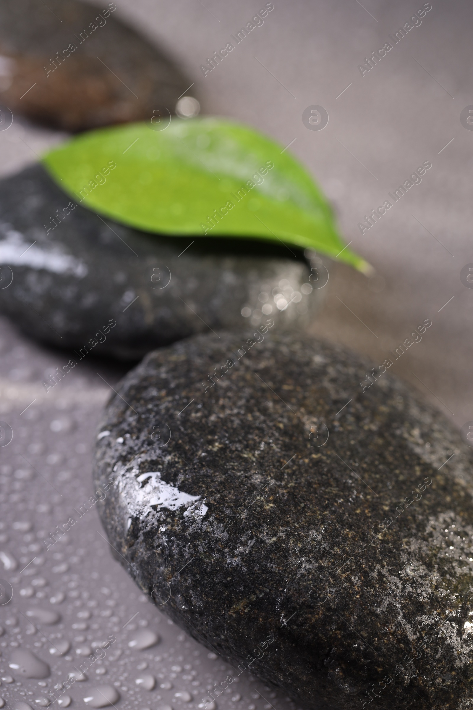 Photo of Wet spa stones and green leaf on grey background