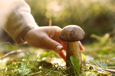 Photo of Man picking porcini mushroom in forest on autumn day, closeup