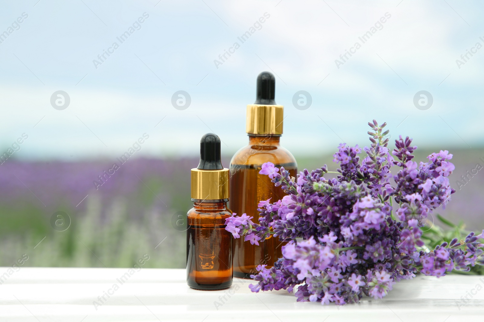 Photo of Bottles of essential oil and lavender flowers on white wooden table in field