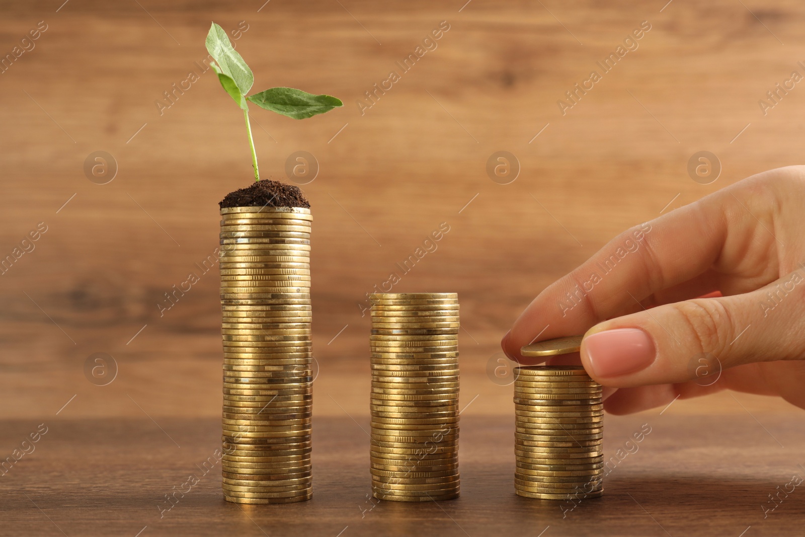 Photo of Woman putting coin onto stack with green sprout at wooden table, closeup. Investment concept