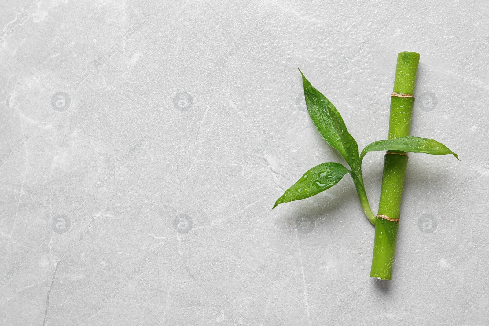 Photo of Green bamboo stem with leaves on light background, top view. Space for text