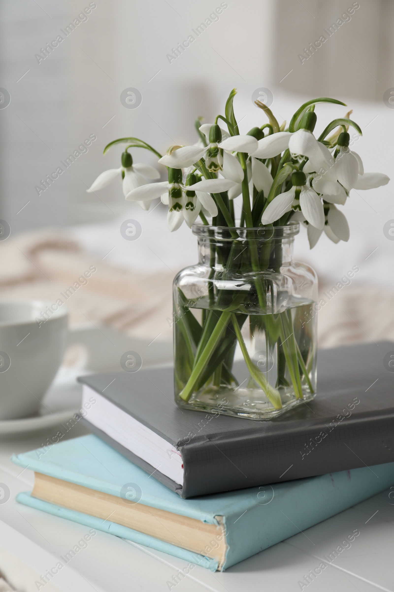 Photo of Beautiful snowdrops and books on tray in bedroom