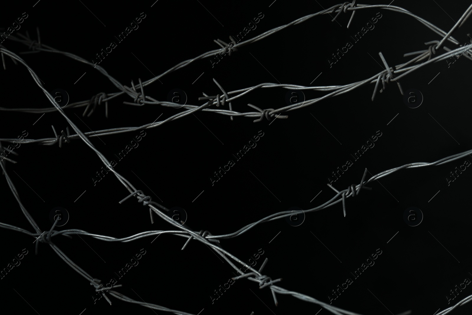 Photo of Shiny metal barbed wire on black background