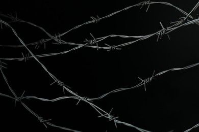 Shiny metal barbed wire on black background