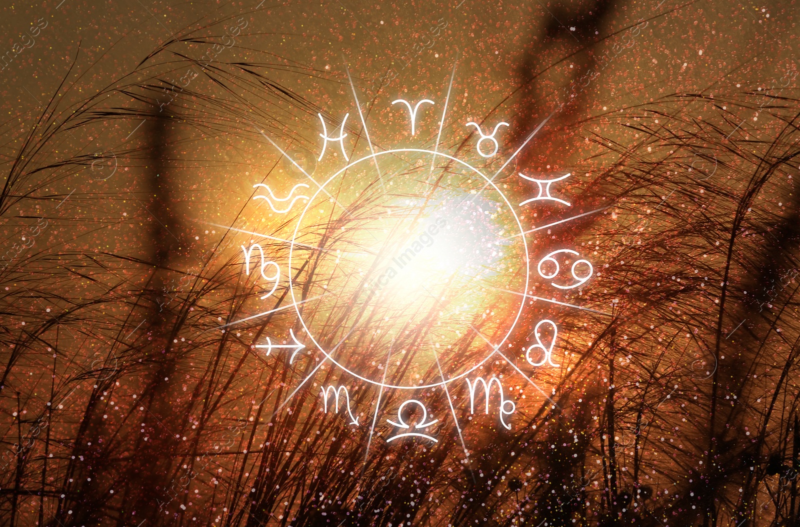 Image of Zodiac wheel with 12 astrological signs and constellations, beautiful view of plants during sunrise on background