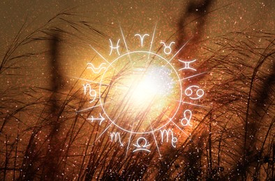 Zodiac wheel with 12 astrological signs and constellations, beautiful view of plants during sunrise on background