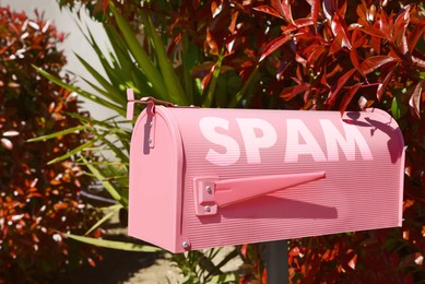 Image of Pink letter box with word Spam near plants outdoors