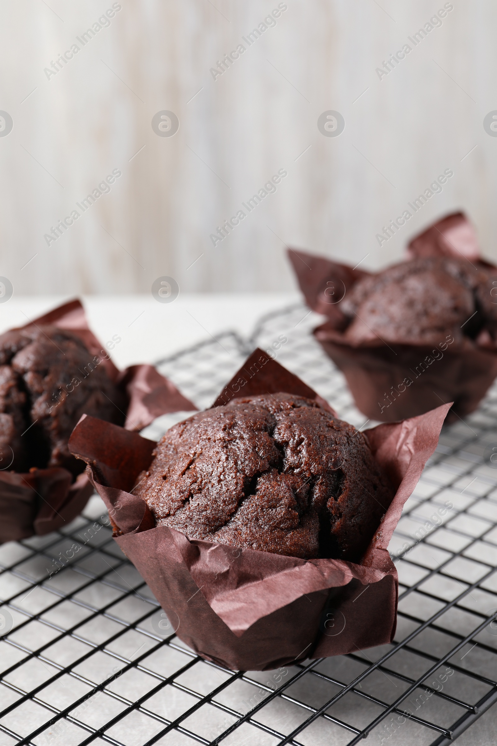 Photo of Tasty chocolate muffins on grey table, closeup. Space for text