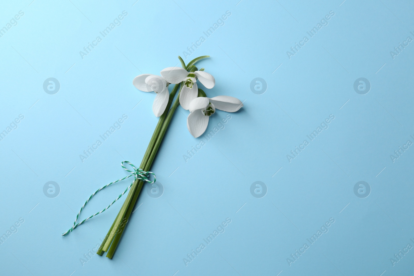 Photo of Beautiful snowdrops on light blue background, flat lay. Space for text