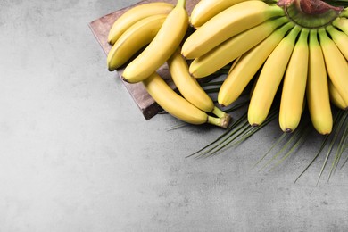 Photo of Bunch of ripe baby bananas on grey table, above view. Space for text