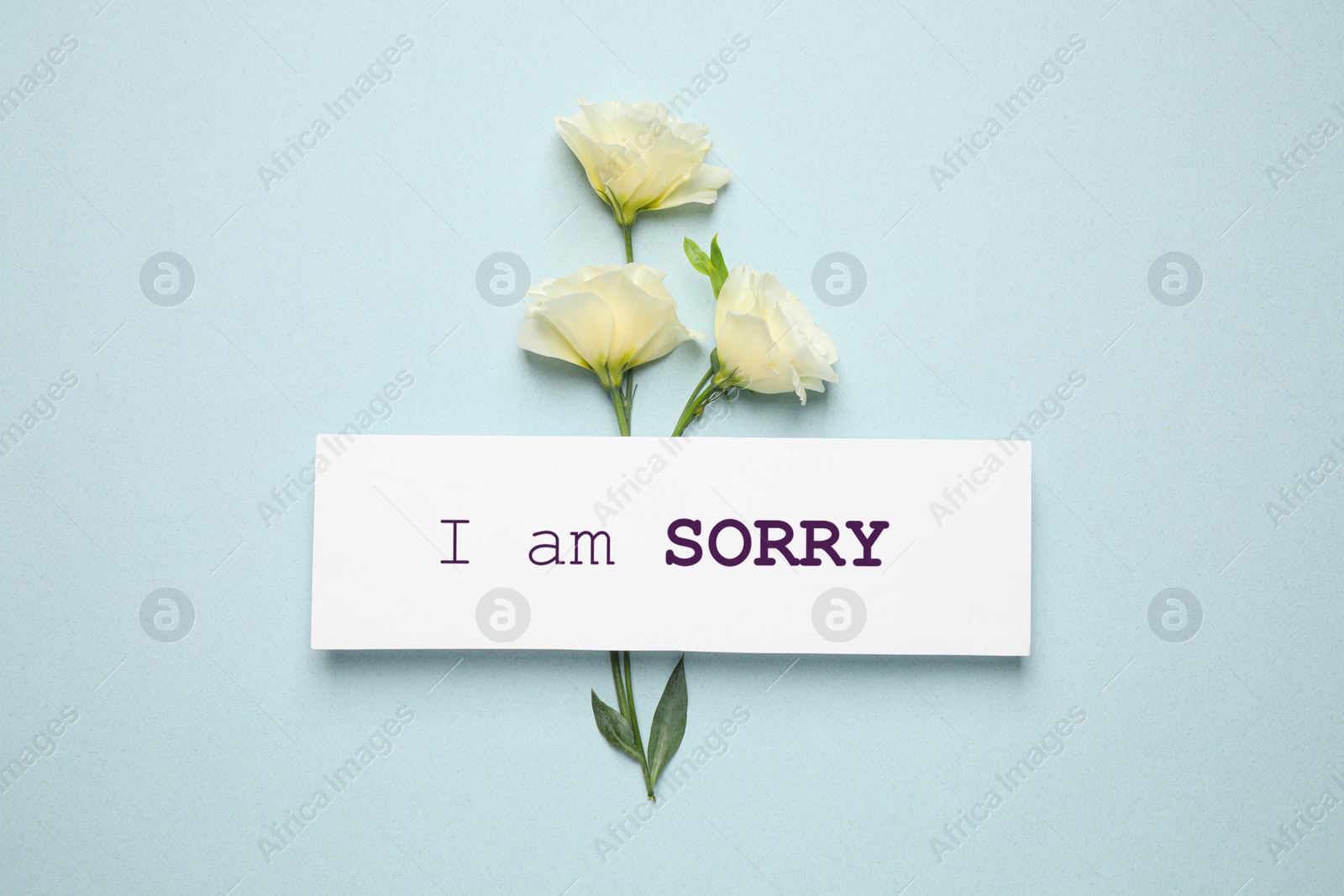 Image of Apology. White card with phrase I Am Sorry and beautiful Eustoma flowers on light mint color background, flat lay