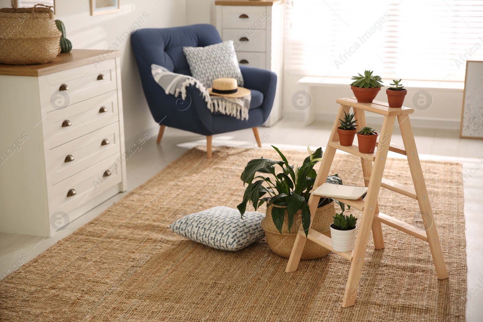 Photo of Stylish living room interior with wooden ladder and houseplants