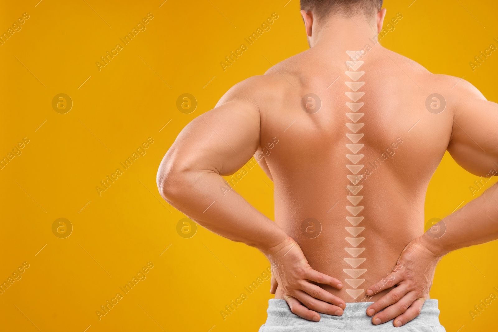 Image of Muscular man on orange background, back view. Illustration of spine