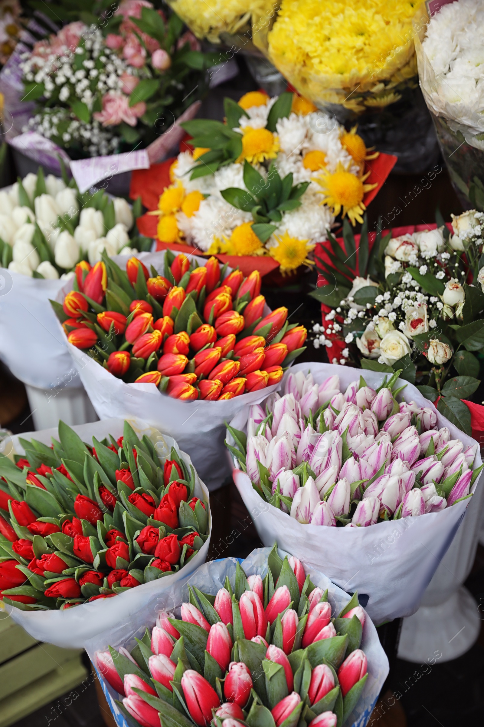 Photo of Assortment of beautiful flowers at wholesale market