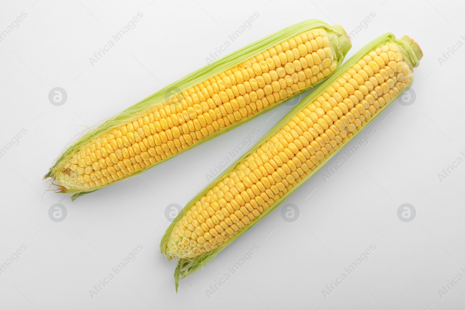 Photo of Tasty sweet corn cobs on white background