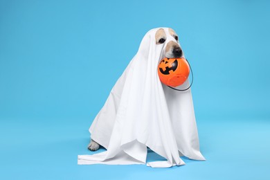 Photo of Cute Labrador Retriever dog wearing ghost costume with Halloween bucket on light blue background